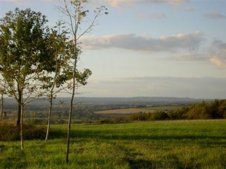 Fairspear Natural Burial Ground, Oxfordshire